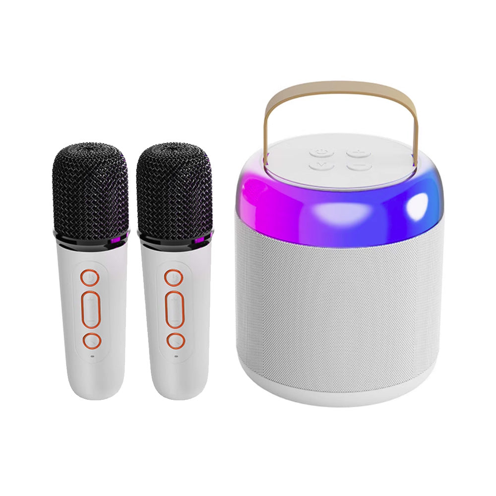 Altoparlante Karaoke Bluetooth con Luci LED, Jack, Slot TF e 2 Microfoni Inclusi - K12/K14