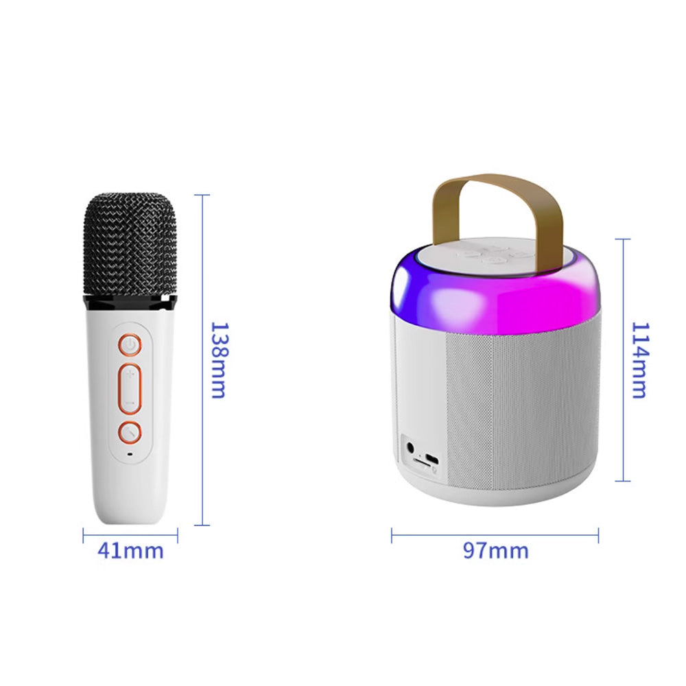 Altoparlante Karaoke Bluetooth con Luci LED, Jack, Slot TF e 2 Microfoni Inclusi - K12/K14